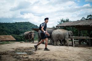 BIB: 
                            <button type="button" onclick="openModal(22424292)" class="btn btn-primary btn-sm float-right btn-popup" data-toggle="modal" data-target=".modal-high-quality">
                        <i class="fas fa-shopping-cart"></i> Add to Cart
                    </button>
                                            <button type="button" onclick="isThisMe(22424292, true)" class="btn btn-success btn-sm float-right btn-popup btn-isme hidden" data-toggle="tooltip" data-placement="bottom" title="นี่คือรูปของคุณใช่ไหม คลิกที่นี่เพื่อเอาเข้าอัลบั้ม">
                        <i class="fas fa-plus"></i> Add to album
                    </button>
                    <button type="button" onclick="isThisMe(22424292, false)" class="btn btn-warning btn-sm float-right btn-popup btn-isnotme hidden">
                        <i class="fas fa-ban"></i> Remove from album
                    </button>